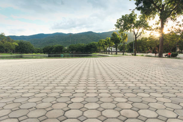 Best Local Driveway Pavers  in Ivanhoe, CA