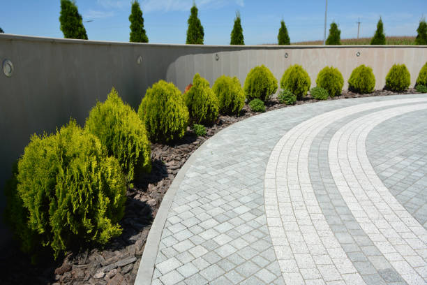 Best Affordable Driveway Pavers  in Ivanhoe, CA