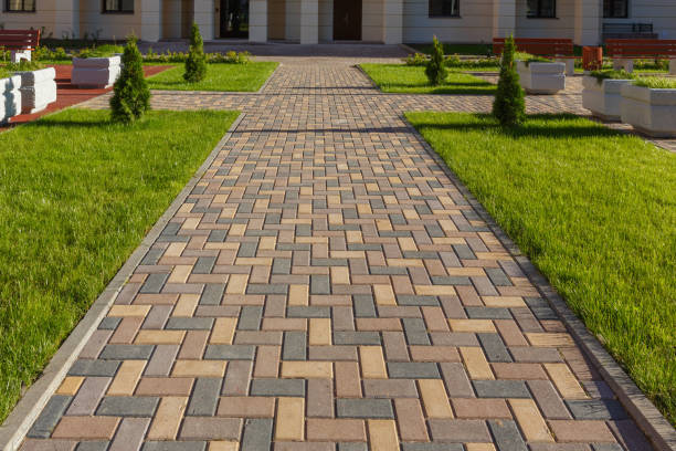 Best Driveway Paving Contractor  in Ivanhoe, CA